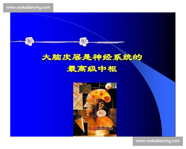 提升大脑敏捷与反应速度的科学训练方法全攻略