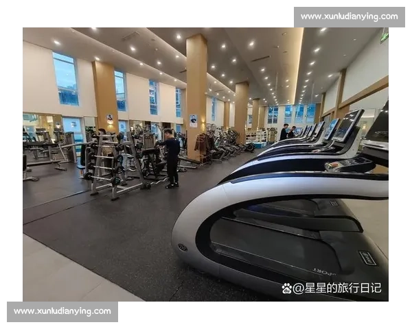 高效提升运动表现的科学体育训练技术与方法研究 高效提升运动表现的科学体育训练技术与方法研究